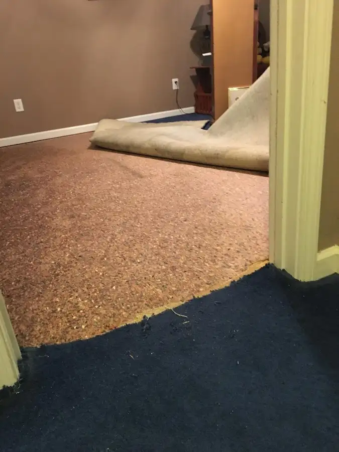 Carpet pad removal revealing water damage during Water Mitigation Services in Hazle