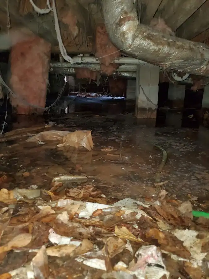 Crawl space flood assessment for Leak Detection & Repair in Hazle
