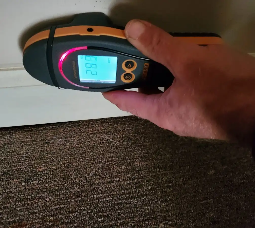 Moisture detection at baseboard during Mold Inspection & Testing in Hazle